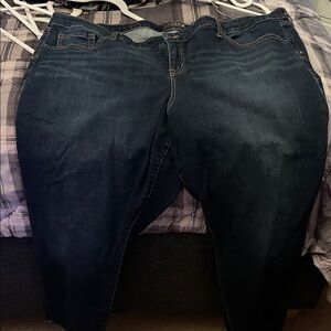 Torrid Dark Wash Skinny Jeans